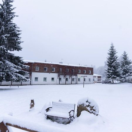 Penzion Dobik Pasecna Přední Výtoň Kültér fotó