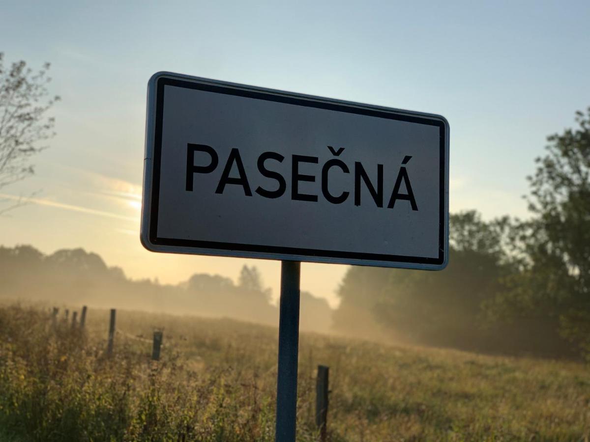 Penzion Dobik Pasecna Přední Výtoň Kültér fotó